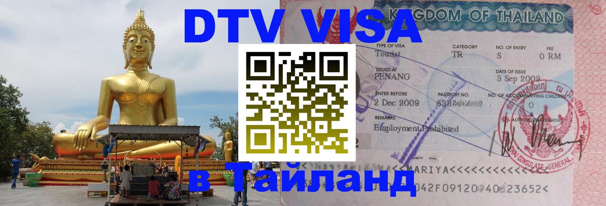 Оформление DTV визы под ключ: стоимость и тарифы, только загранпаспорт - Новомосковск 